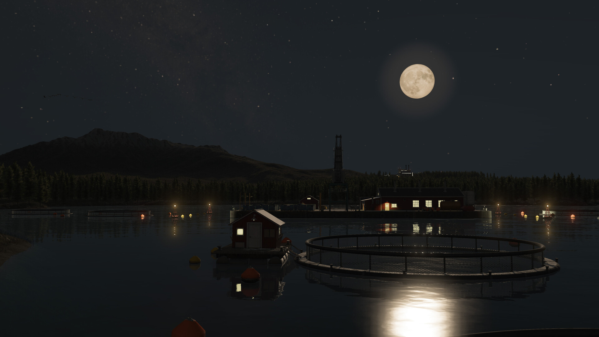 Captura 14: Transport Fever 3