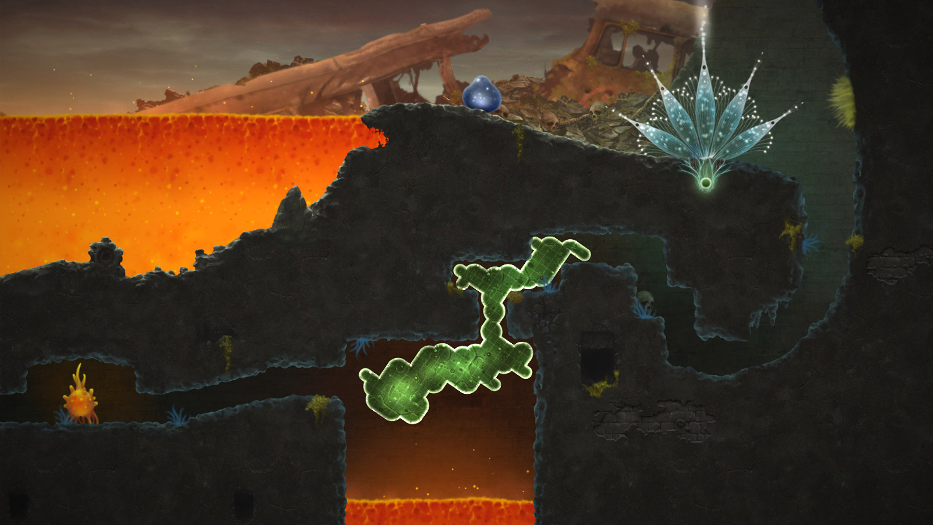 Captura 8: Mushroom 11