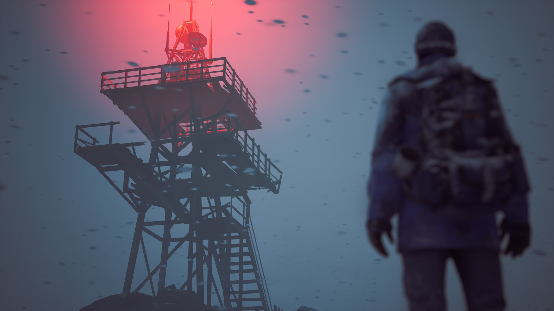 Captura: Winter Survival