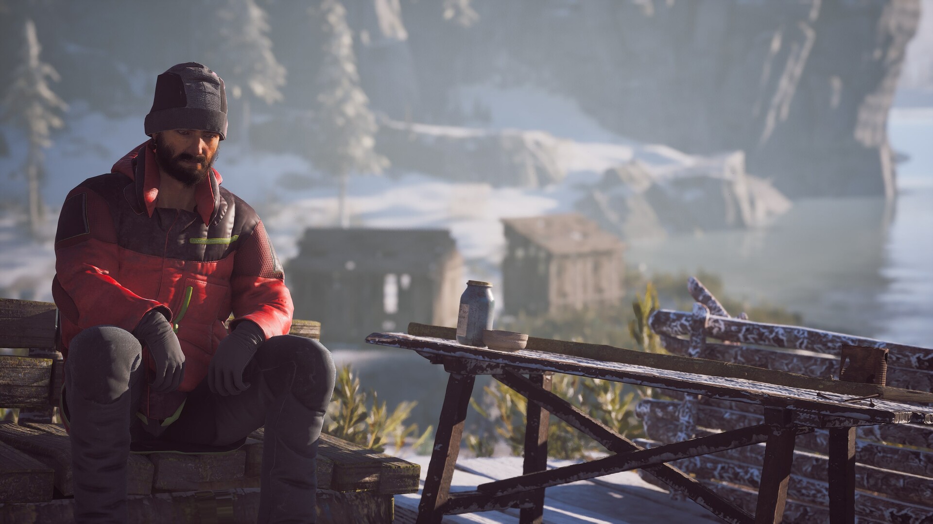 Captura 14: Winter Survival