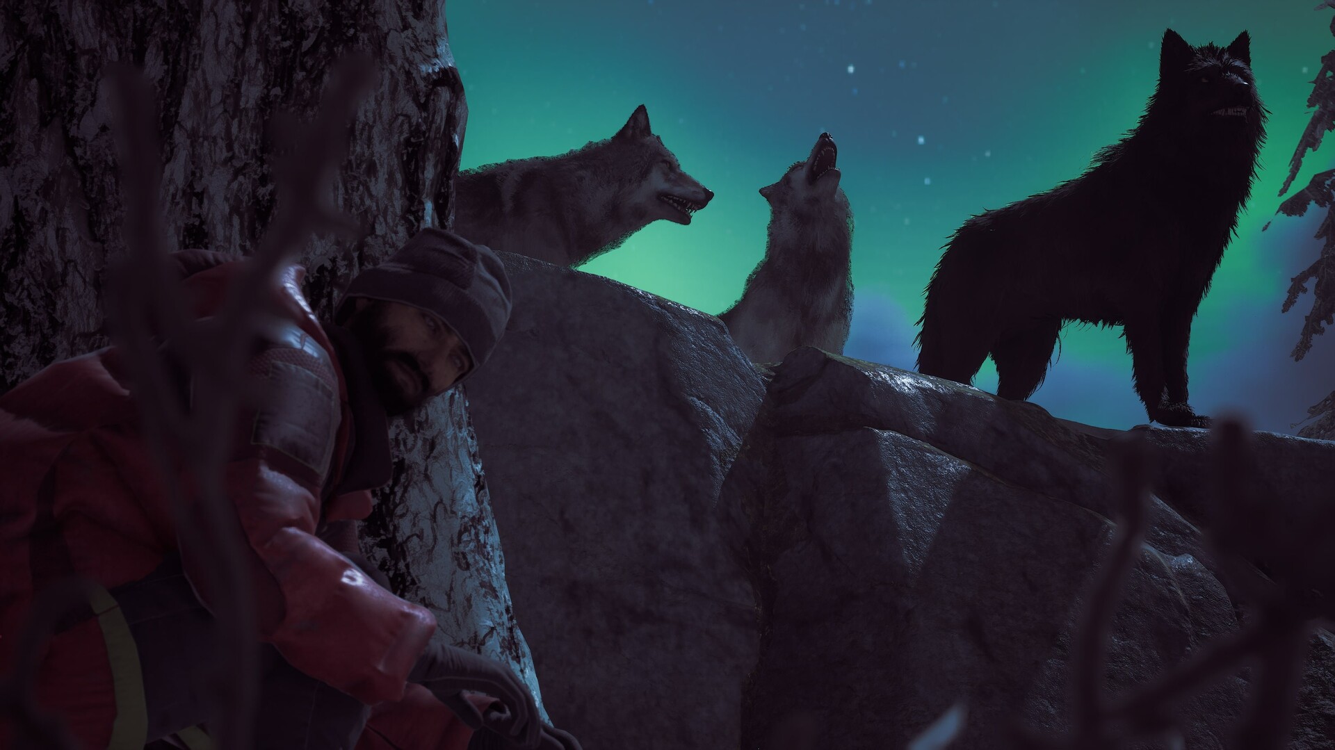 Captura 17: Winter Survival