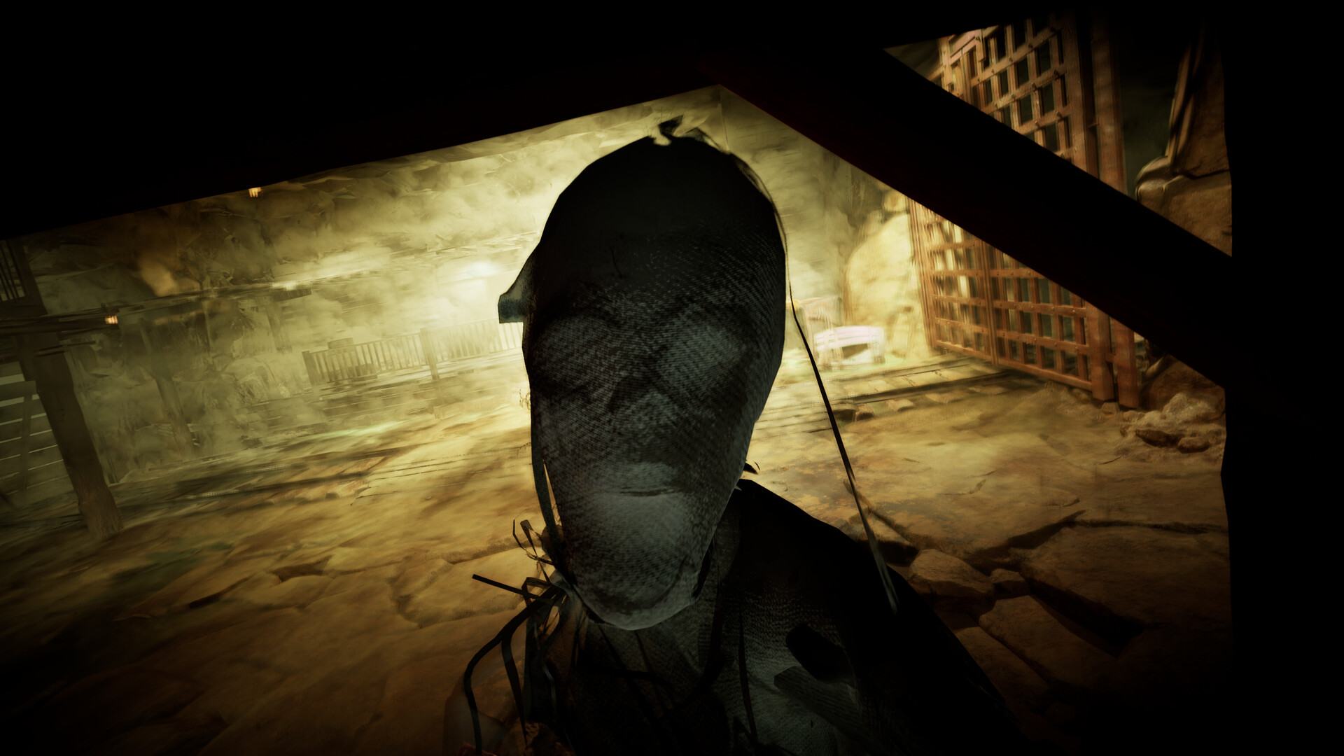 Captura: Winter Survival