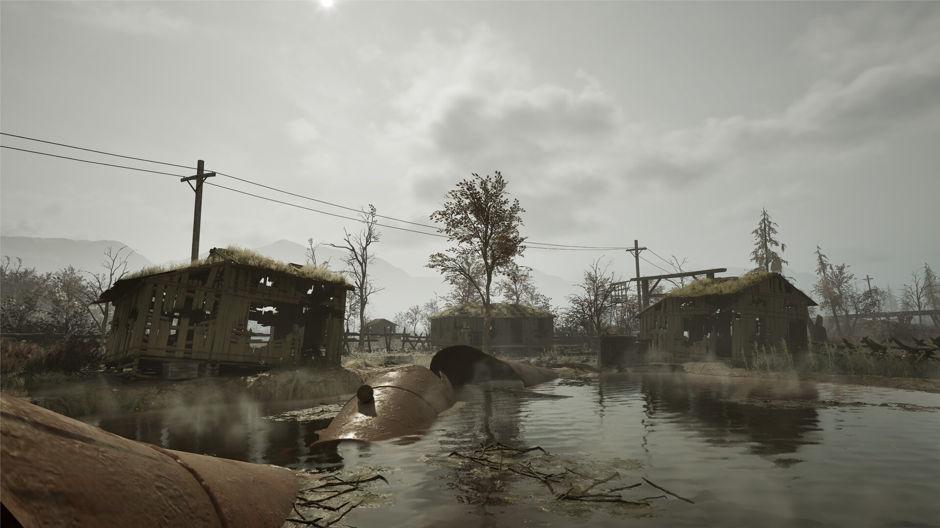 Captura 8: Winter Survival