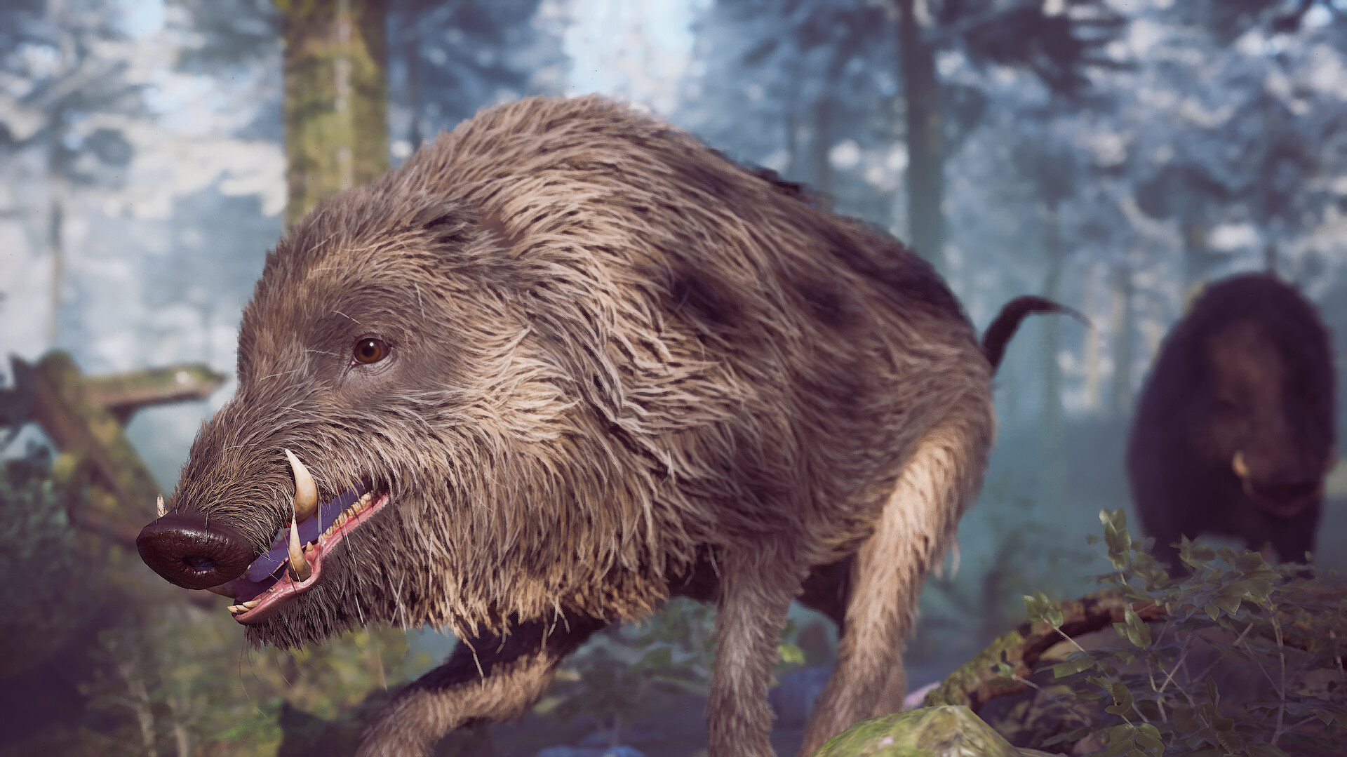 Captura 9: Winter Survival