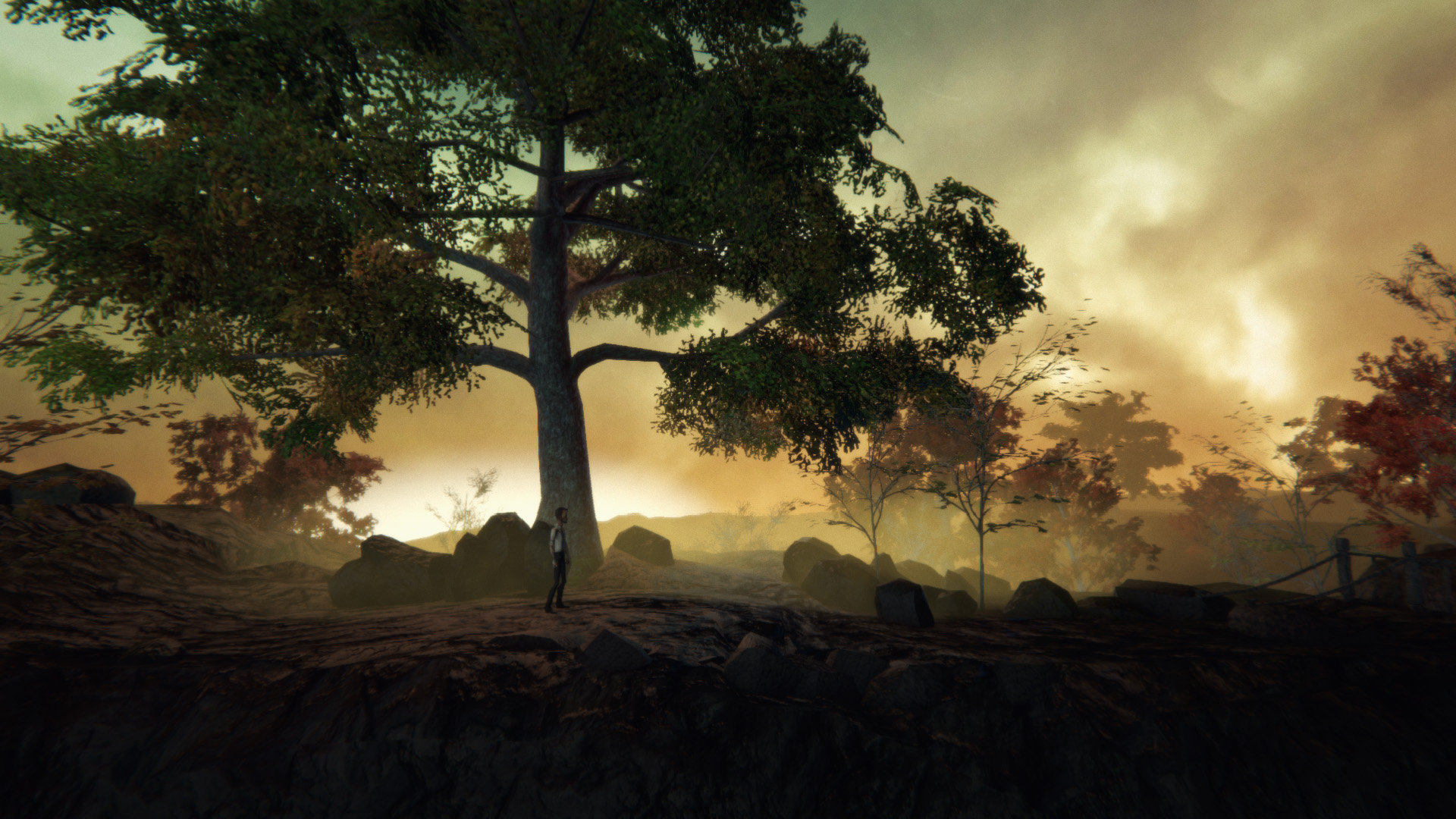 Captura: Adele: Following the Signs