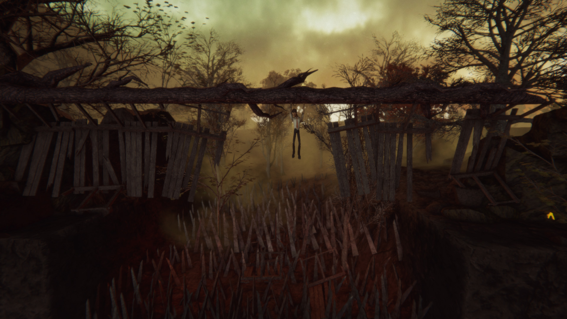 Captura: Adele: Following the Signs