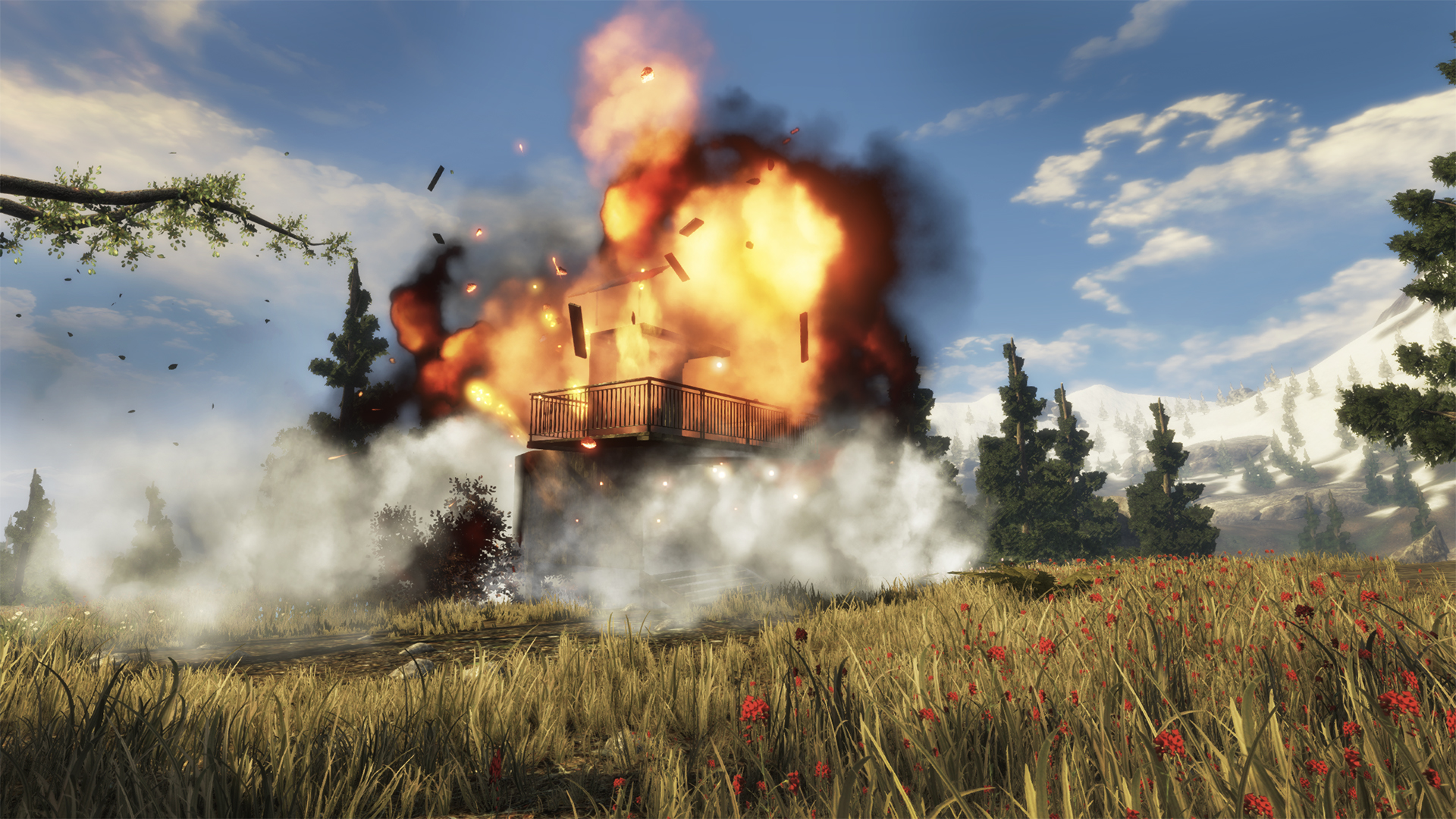 Captura 25: Subsistence