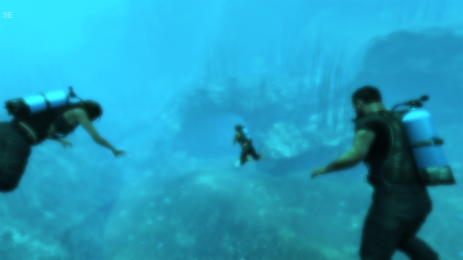 Captura 39: Subsistence