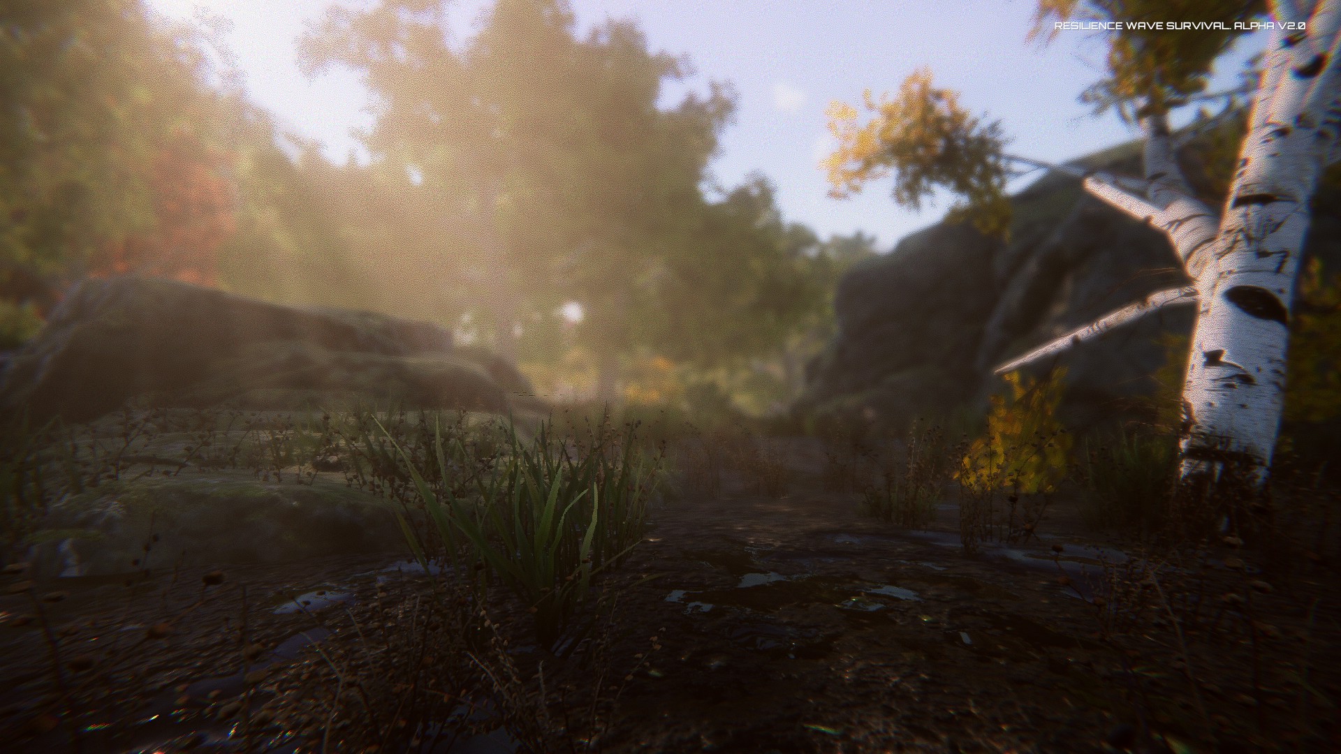 Captura 11: Resilience Wave Survival