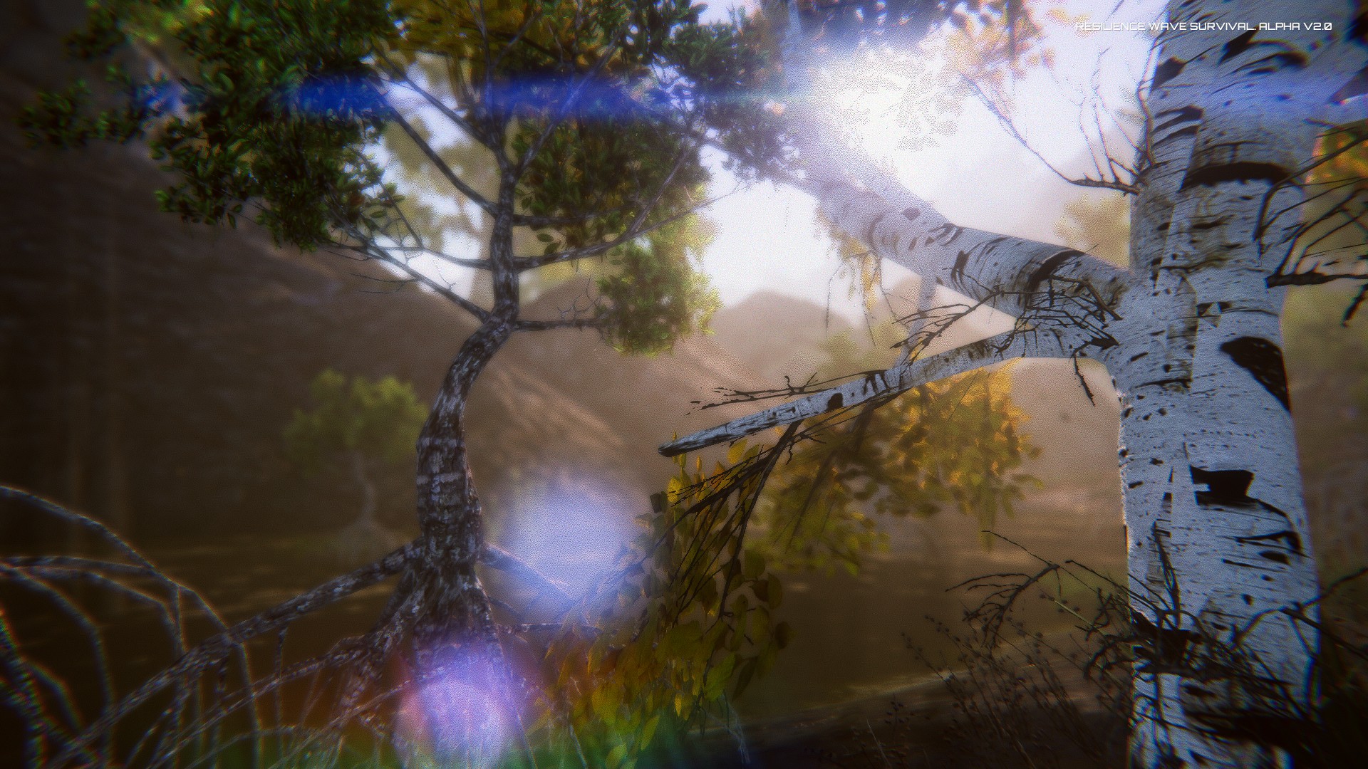 Captura 12: Resilience Wave Survival