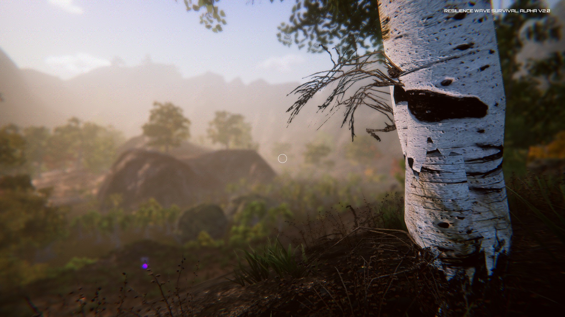 Captura 16: Resilience Wave Survival