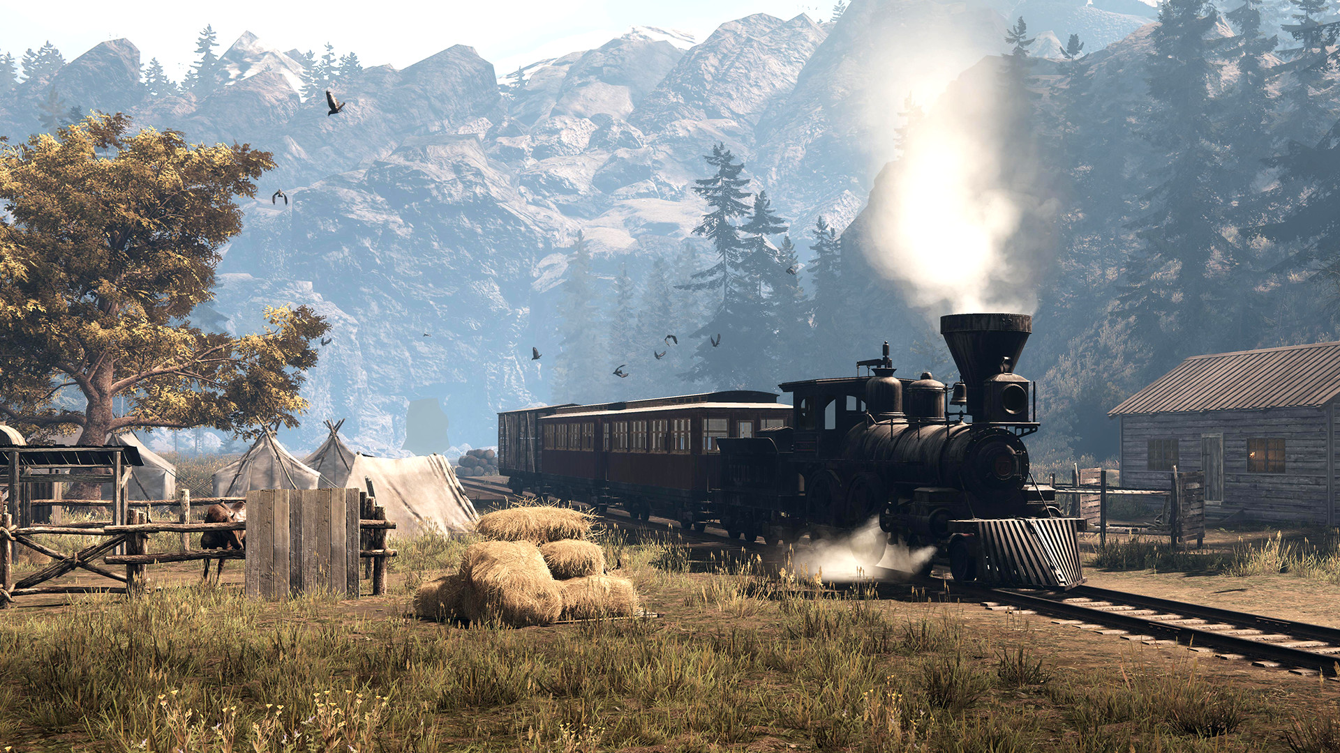 Captura: This Land Is My Land