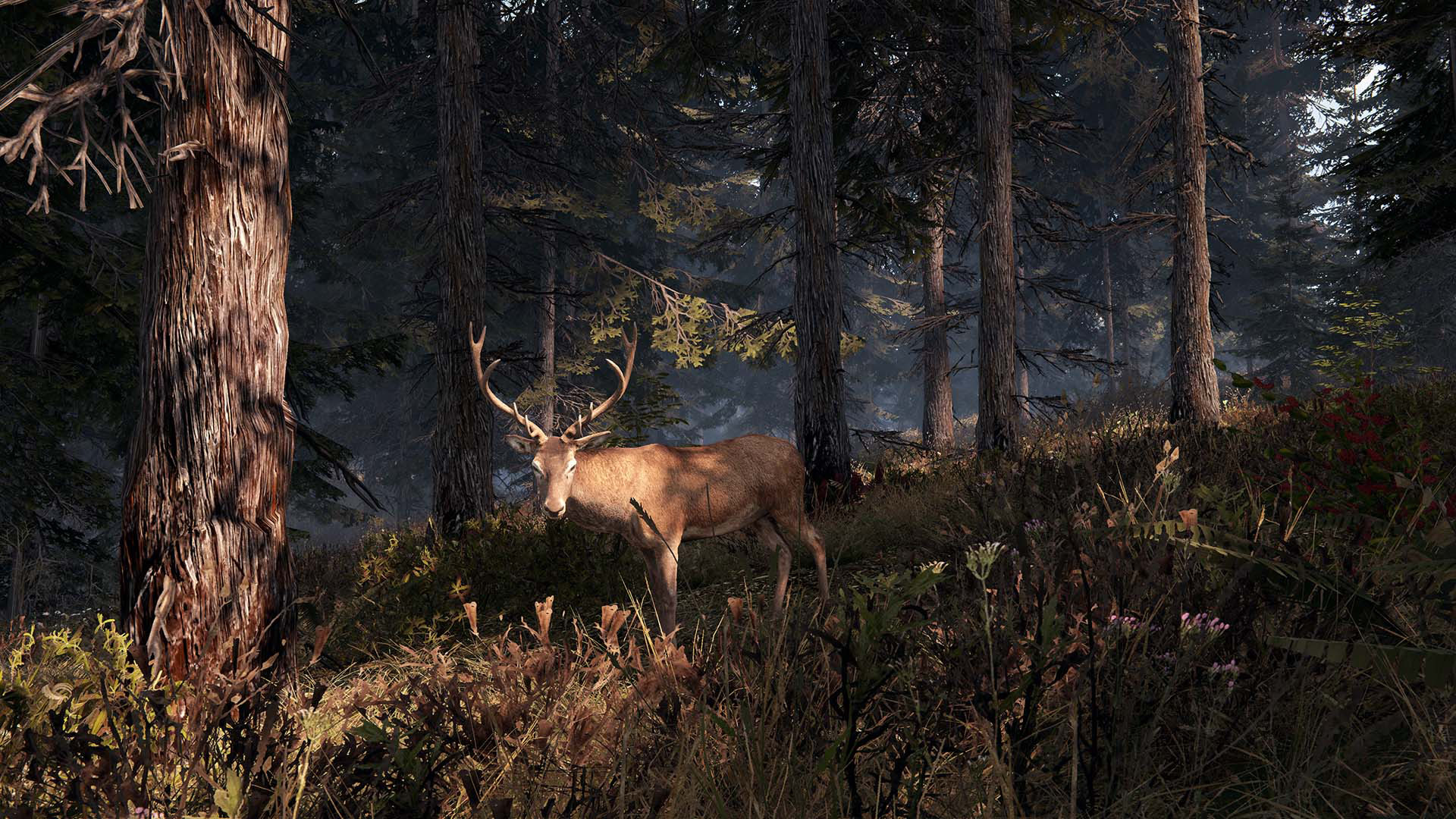 Captura 8: This Land Is My Land