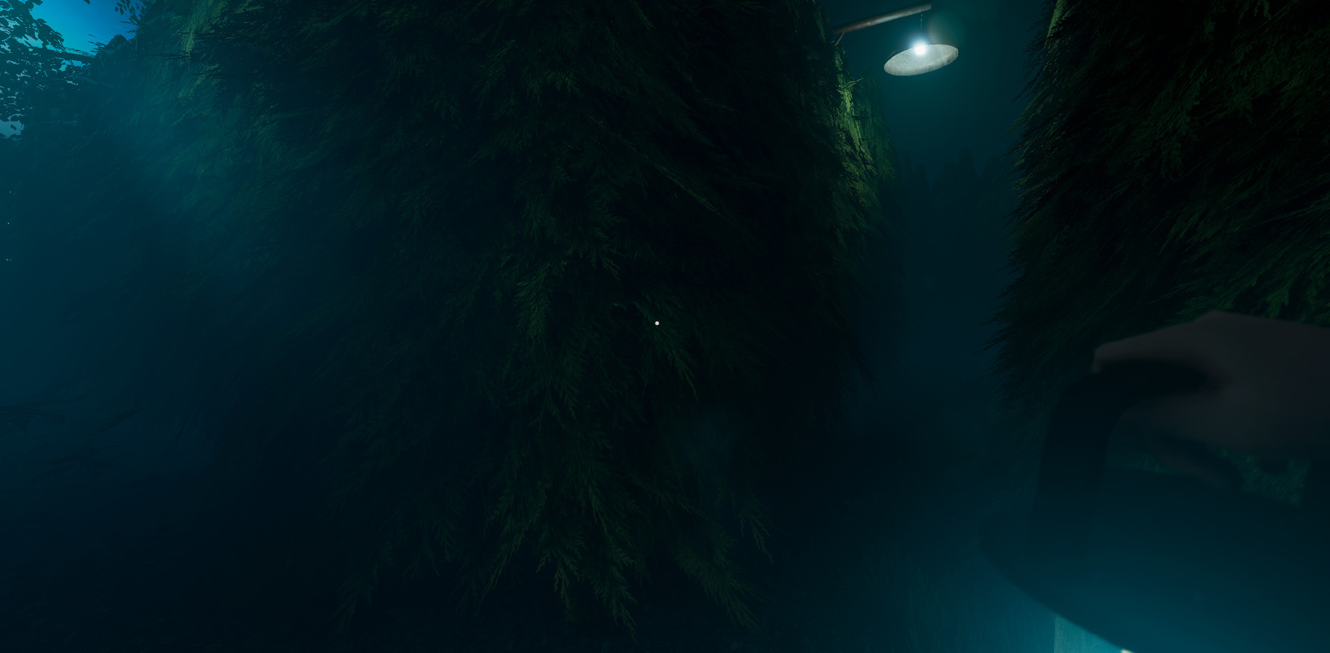 Captura 11: Labyrinthine