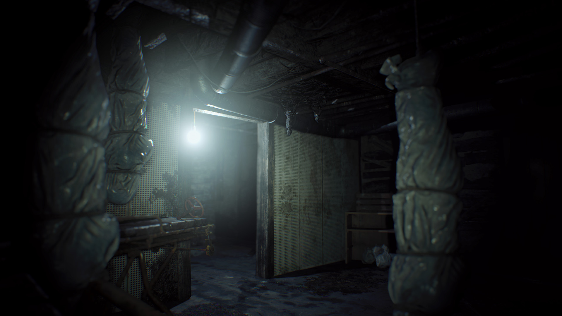 Captura 6: Resident Evil 7 Teaser: Beginning Hour