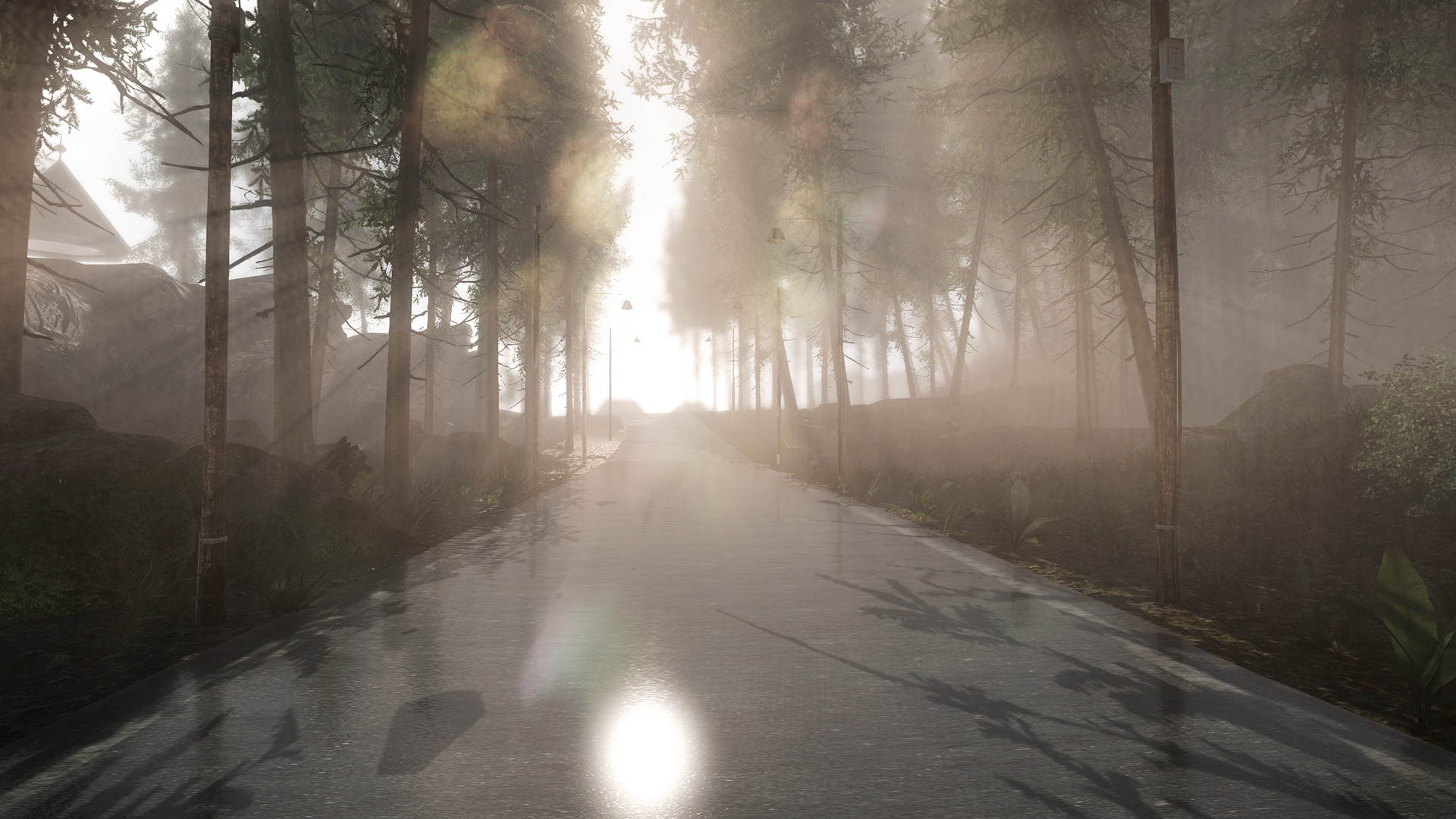 Captura 13: Lex Mortis