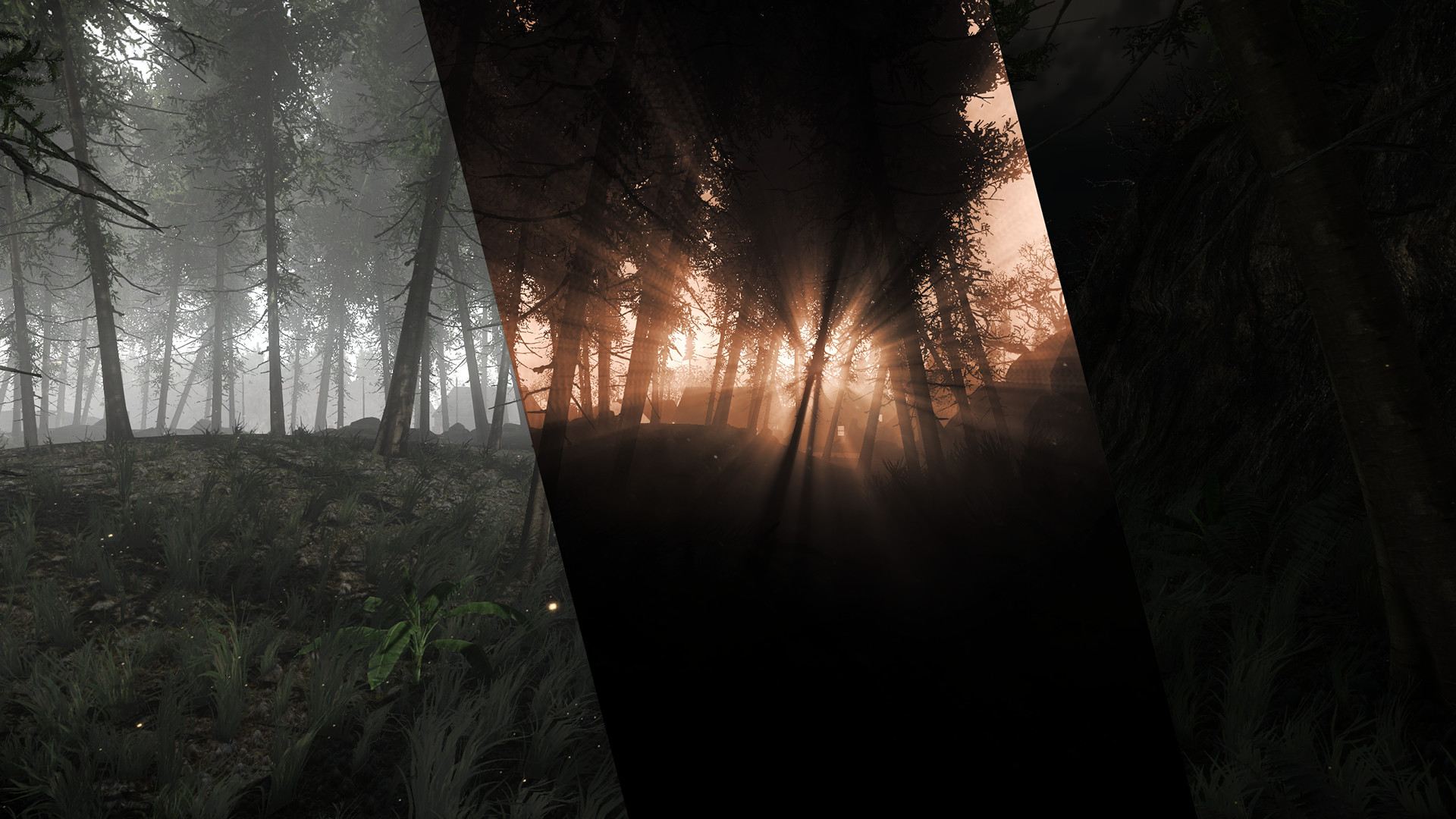 Captura 15: Lex Mortis