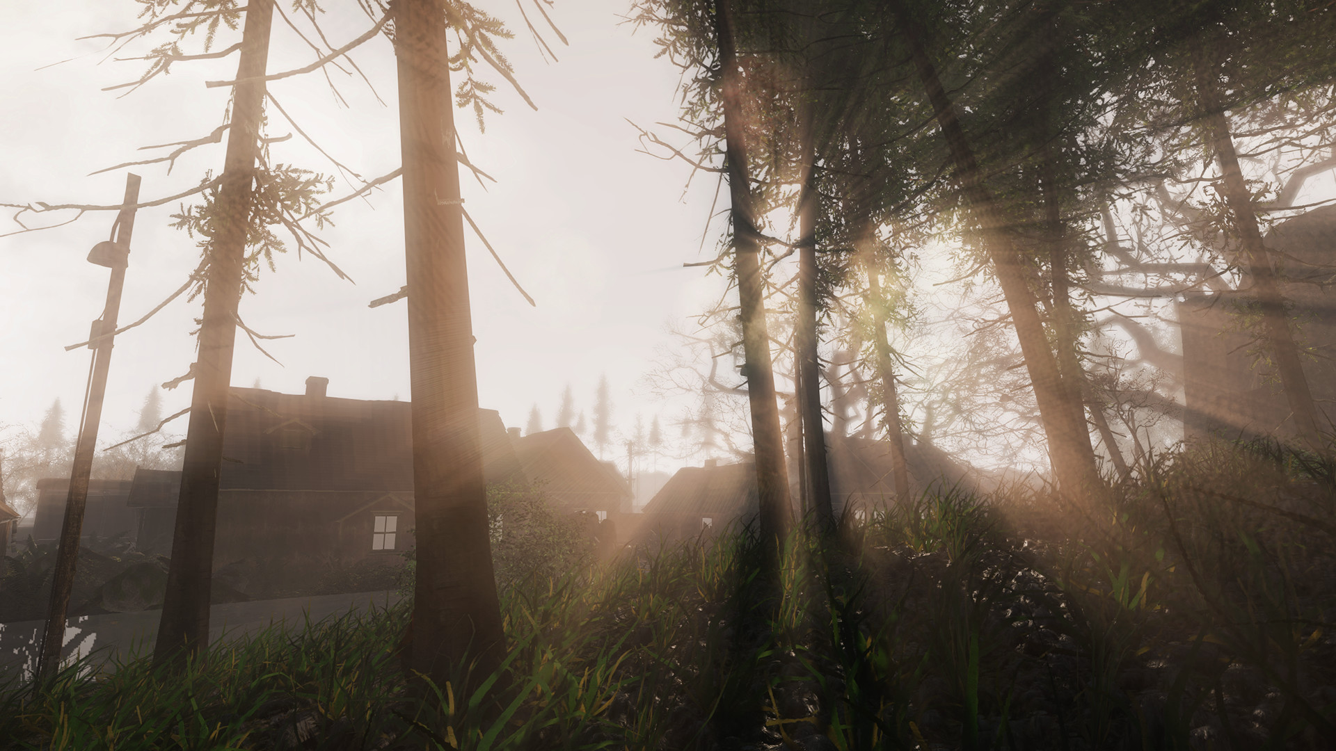 Captura 10: Lex Mortis