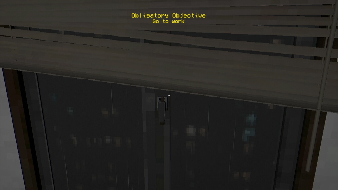 Captura 10: Terminal 81