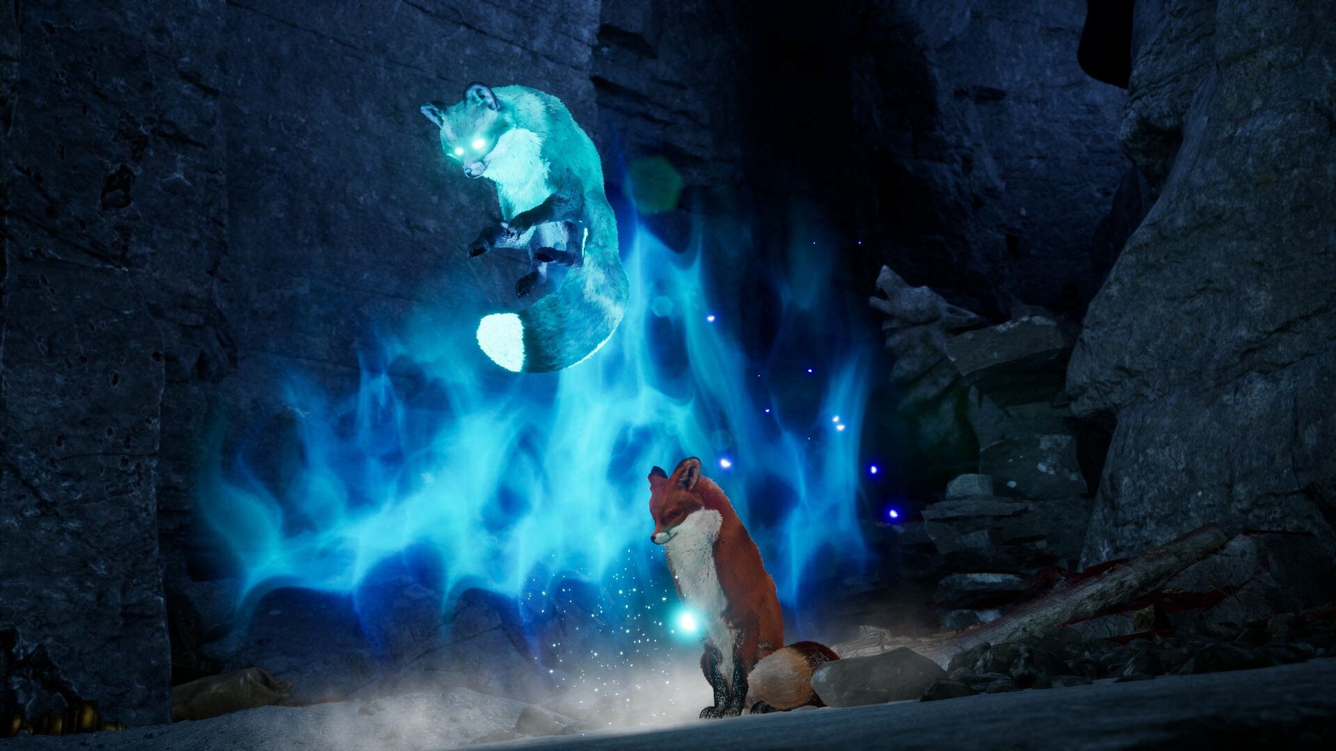 Captura: Spirit of the North 2