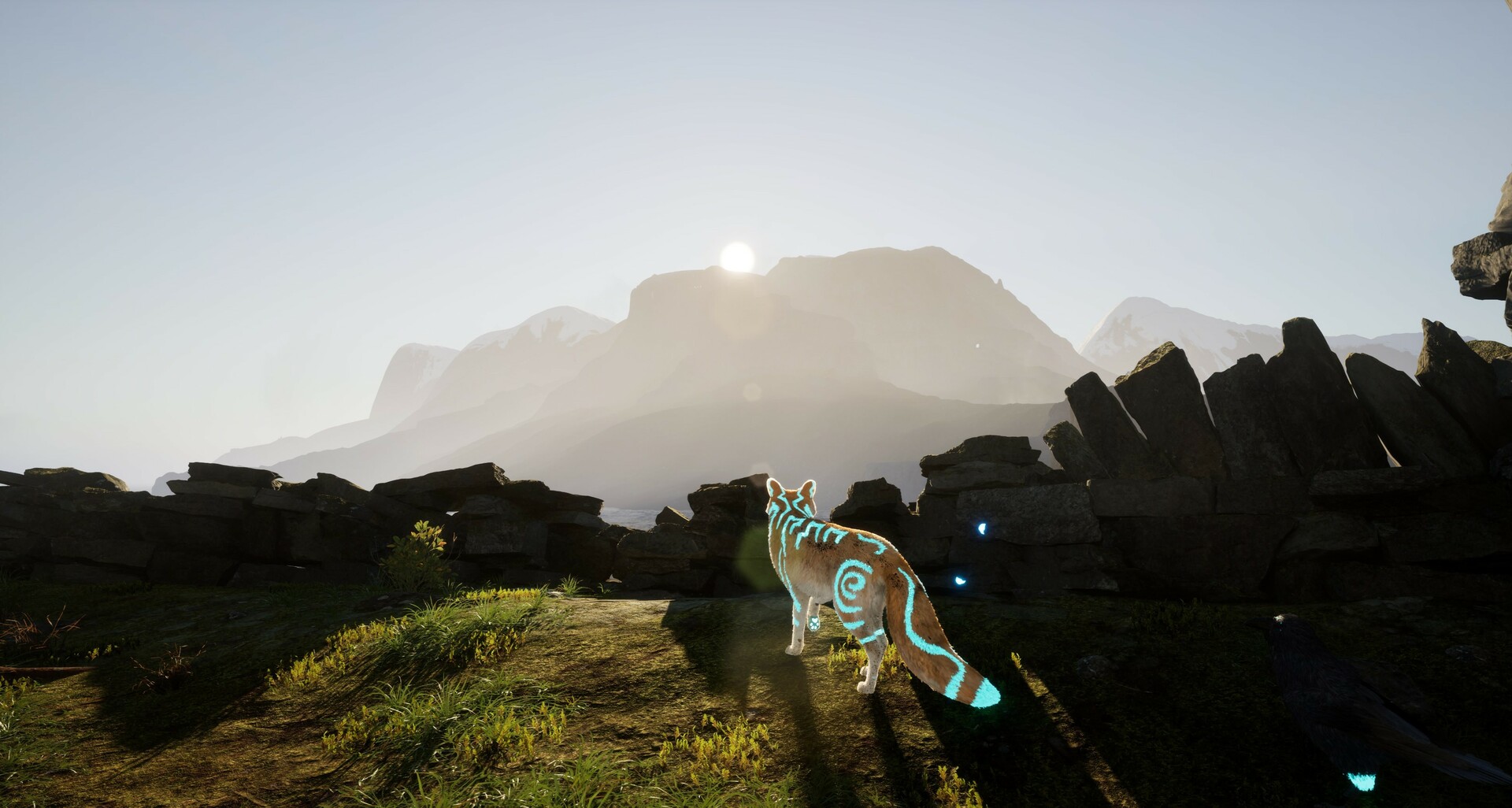 Captura 12: Spirit of the North 2