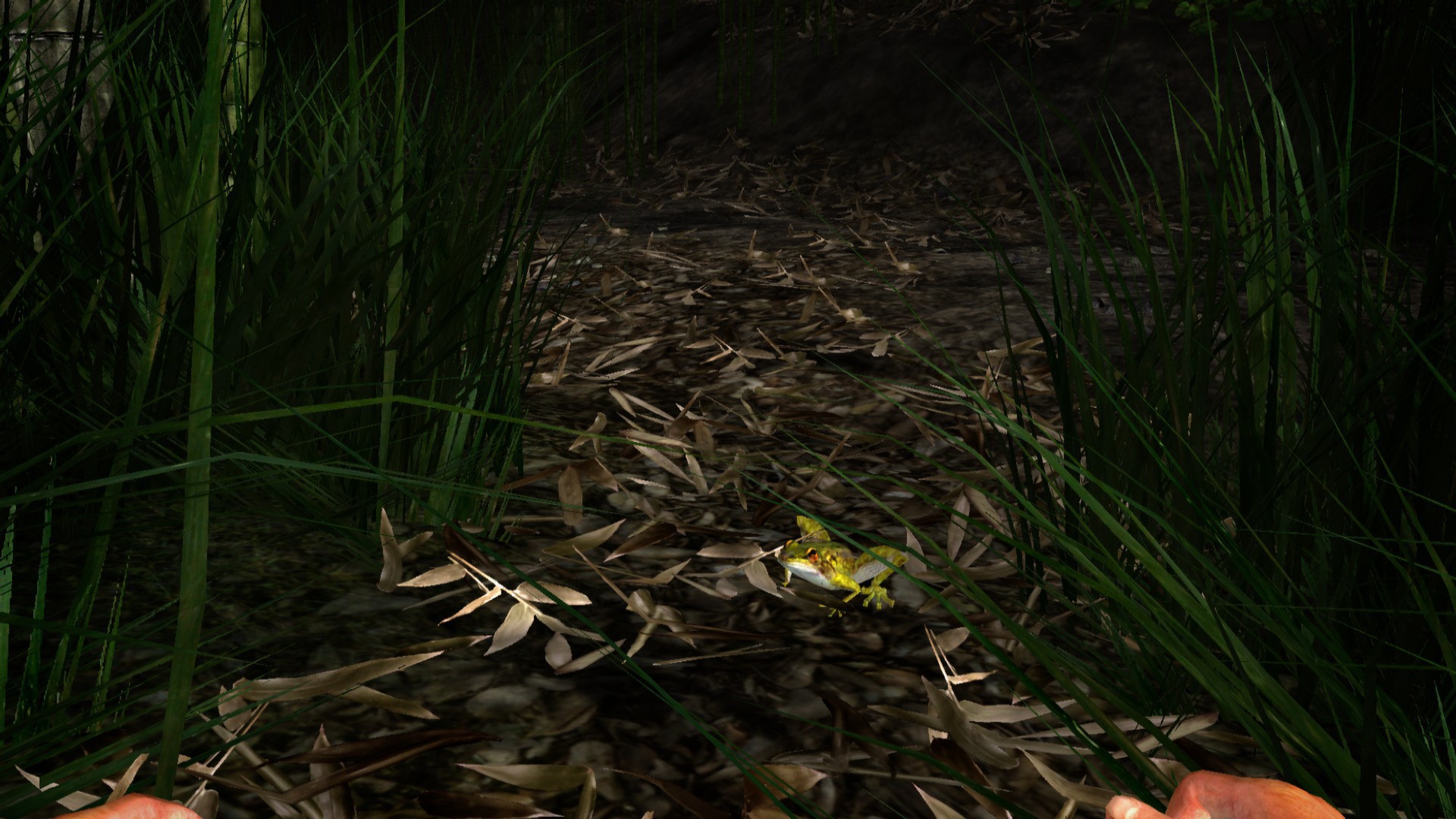 Captura 12: Miasmata