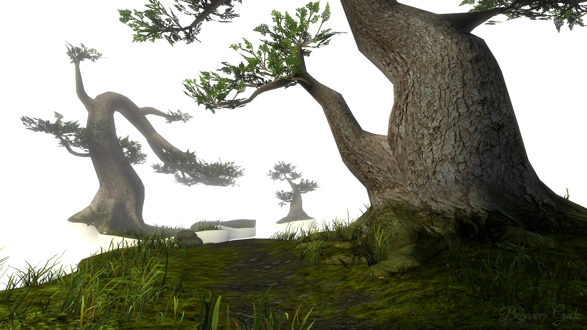 Captura: The Beginner's Guide