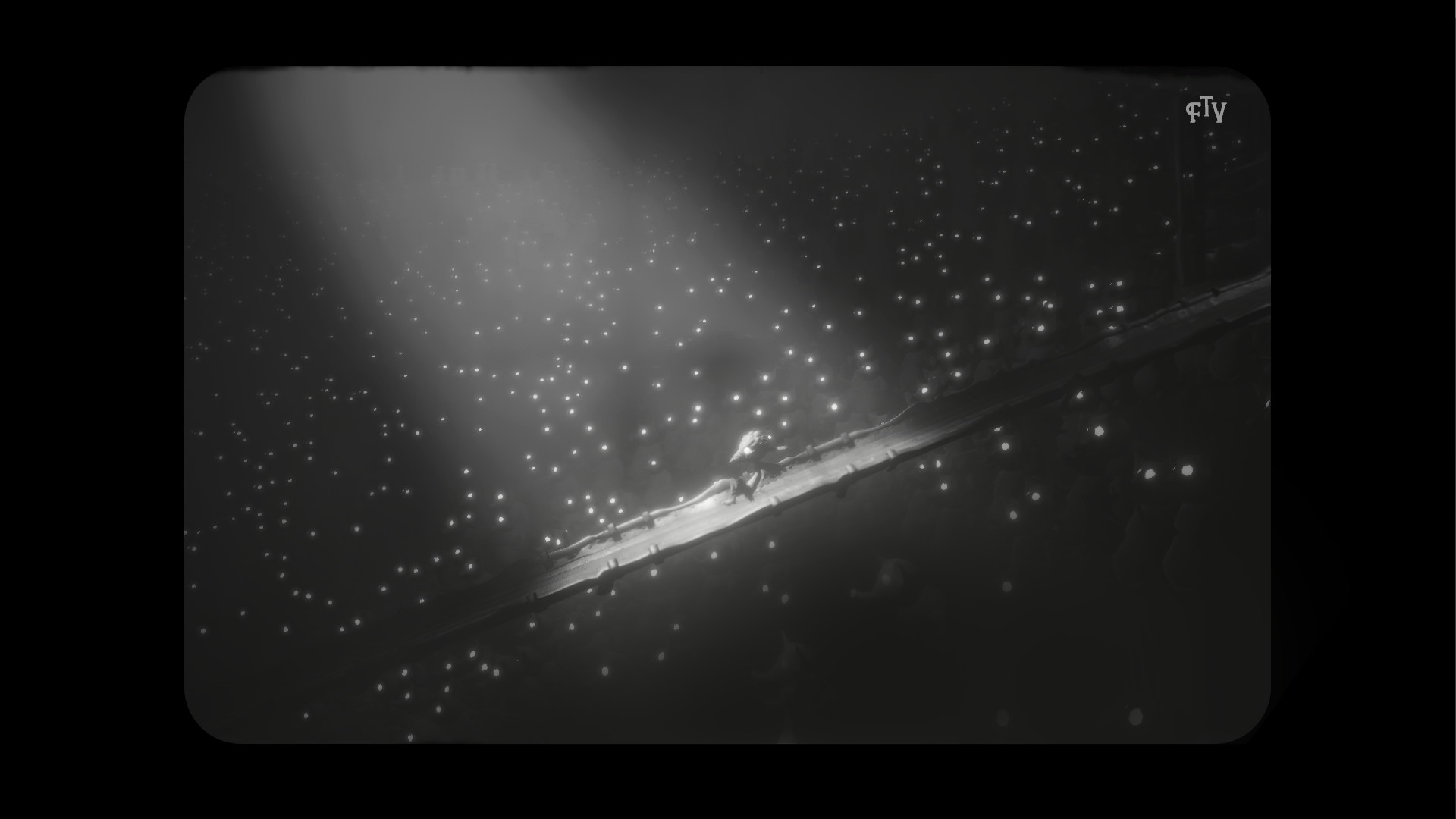 Captura: White Shadows