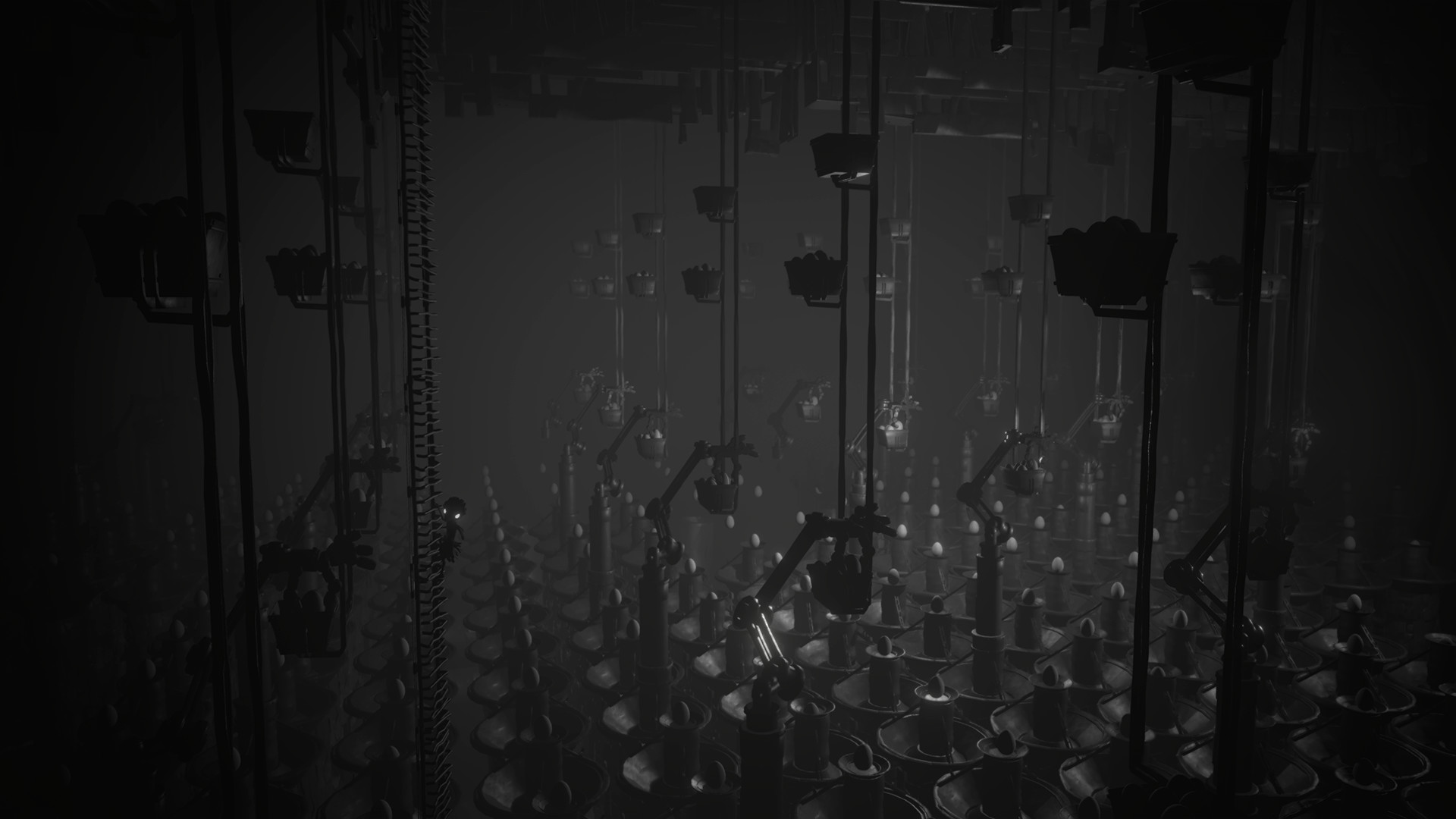 Captura: White Shadows