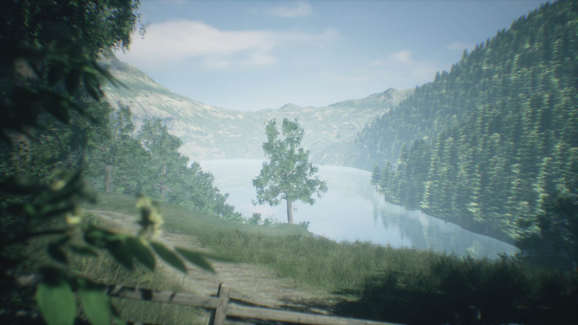 Captura: Wakamarina Valley, New Zealand