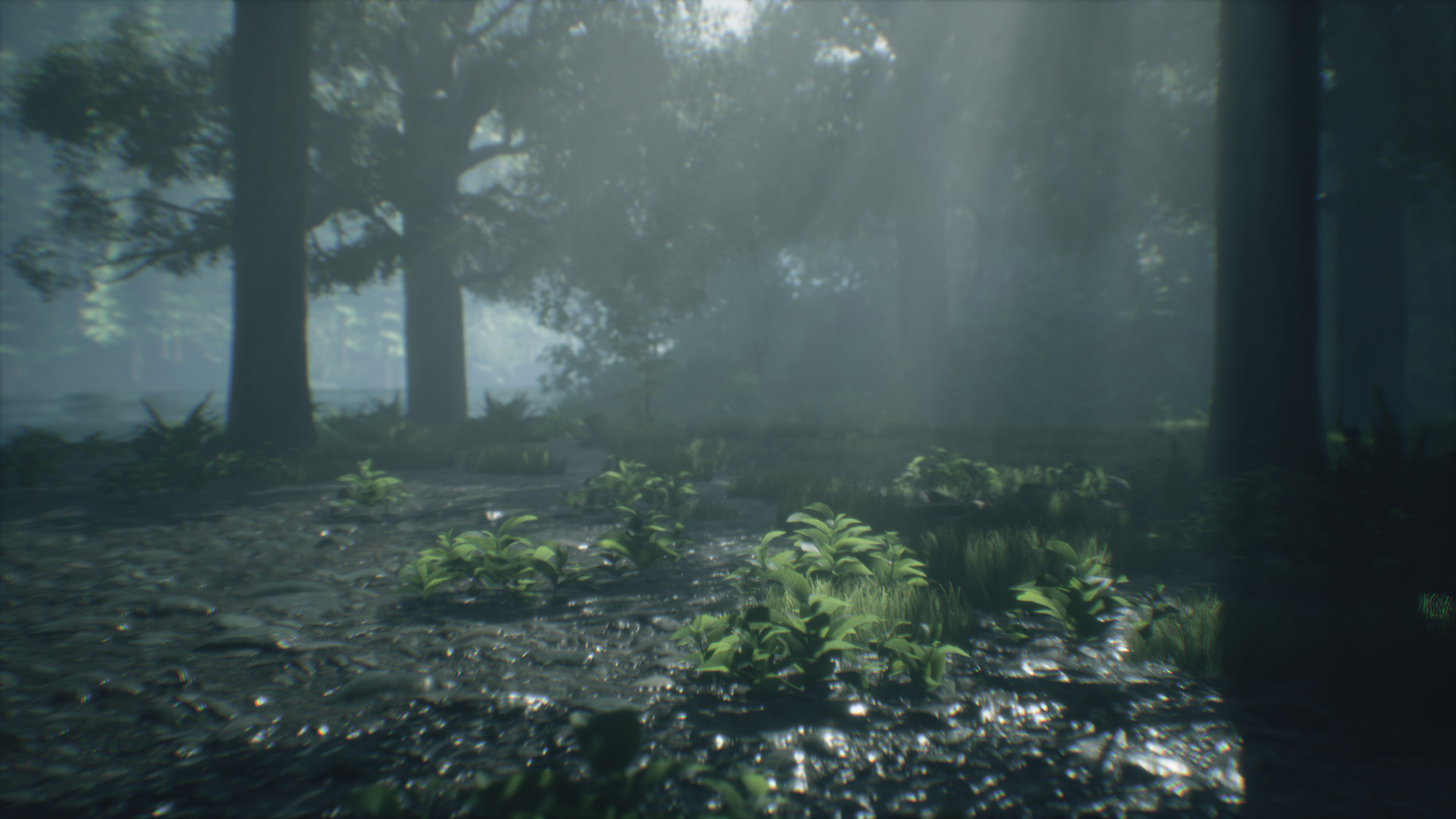 Captura: Wakamarina Valley, New Zealand