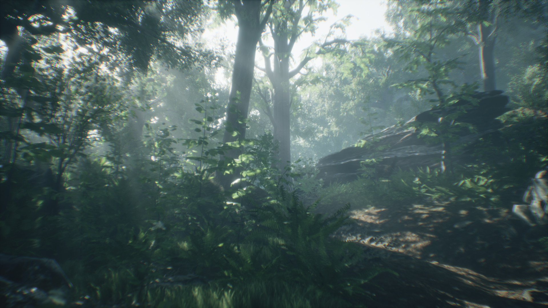 Captura: Wakamarina Valley, New Zealand