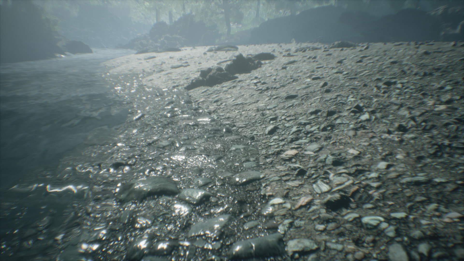 Captura: Wakamarina Valley, New Zealand