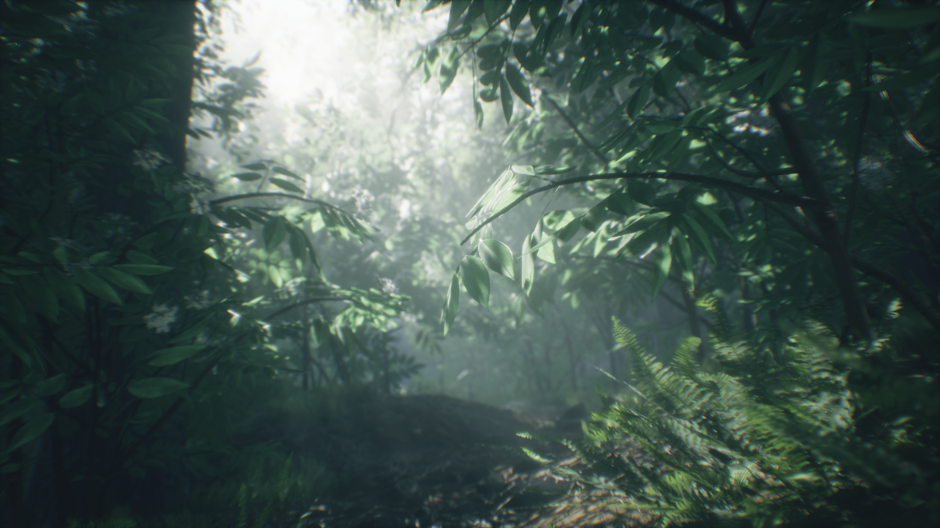 Captura 7: Wakamarina Valley, New Zealand