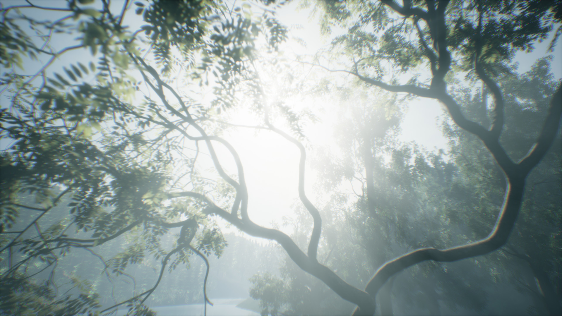 Captura 9: Wakamarina Valley, New Zealand