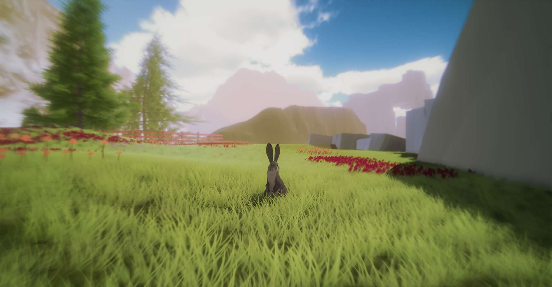 Captura: Where the Bees Make Honey