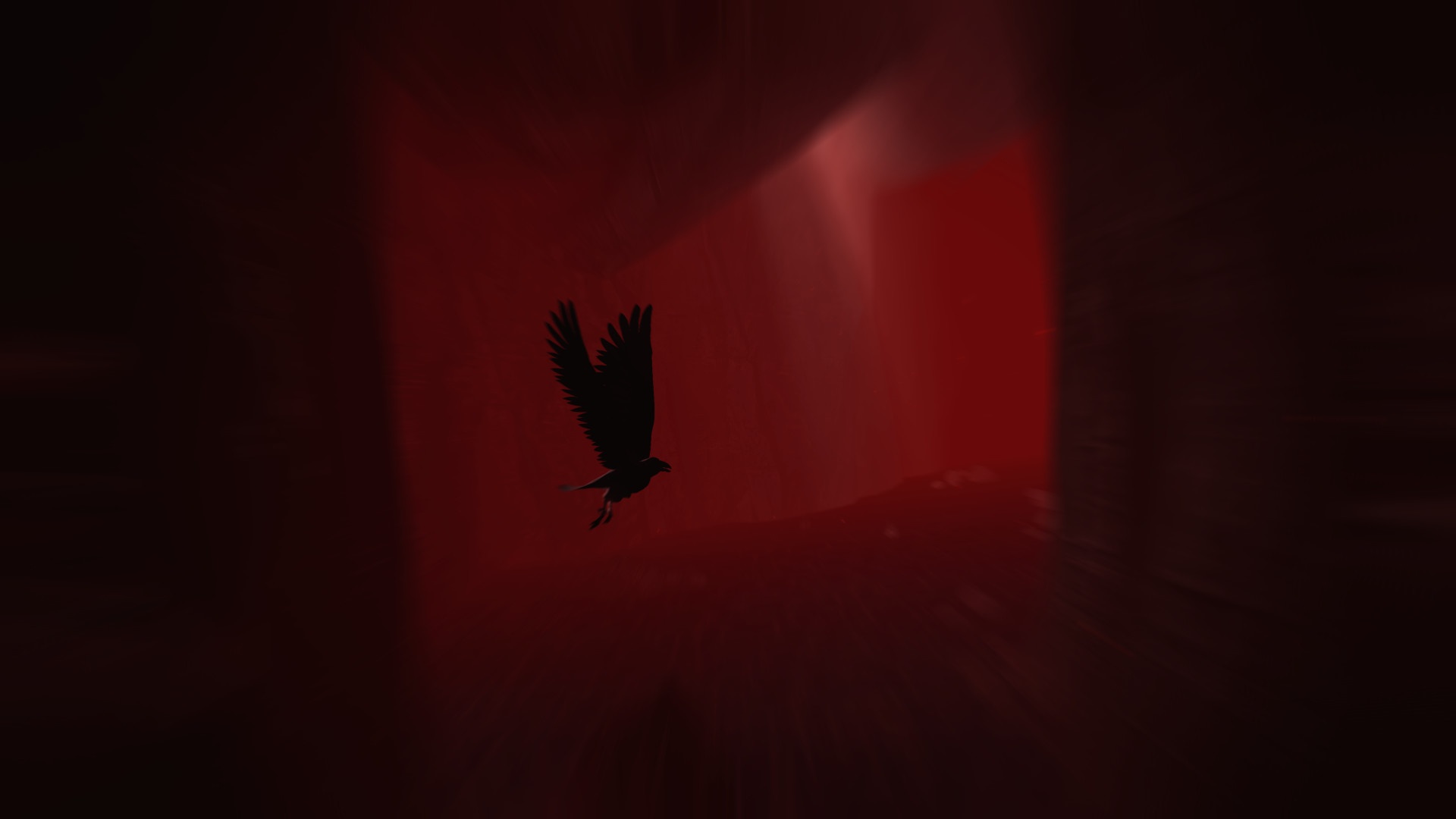 Captura 11: Rise of Insanity