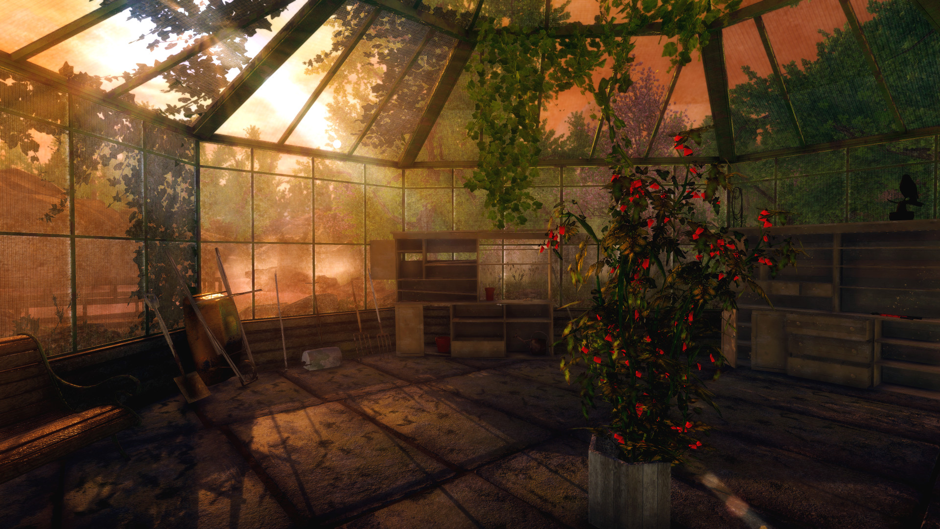 Captura 10: Rise of Insanity