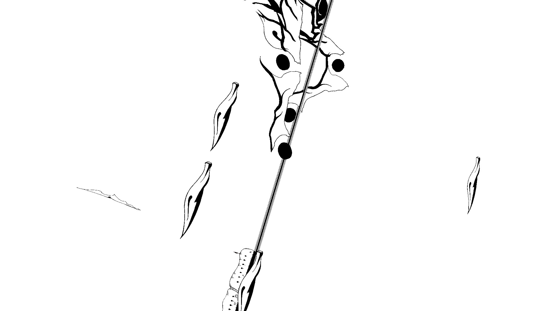 Captura: Chasing Light