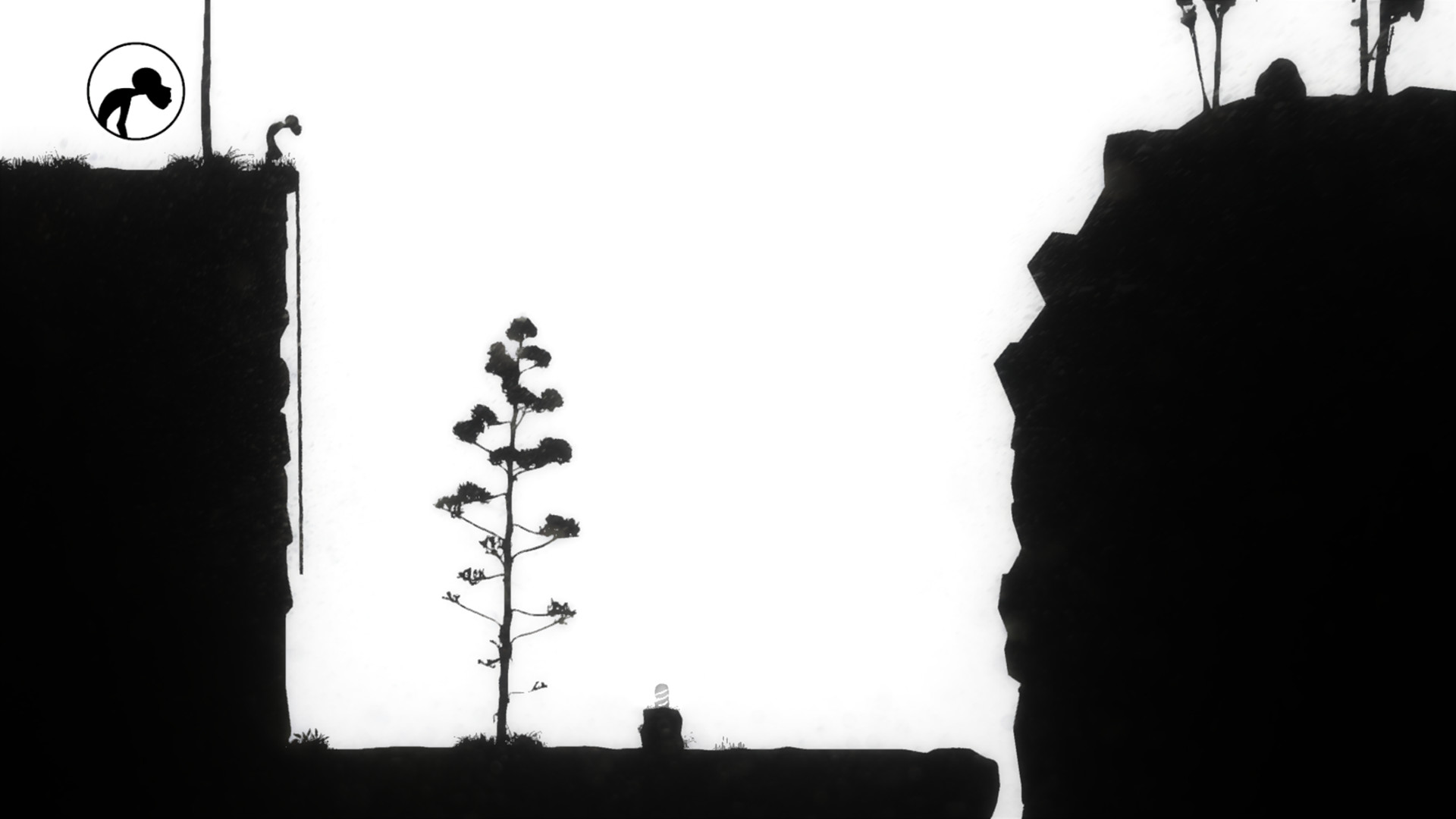 Captura: Liquid Sunshine