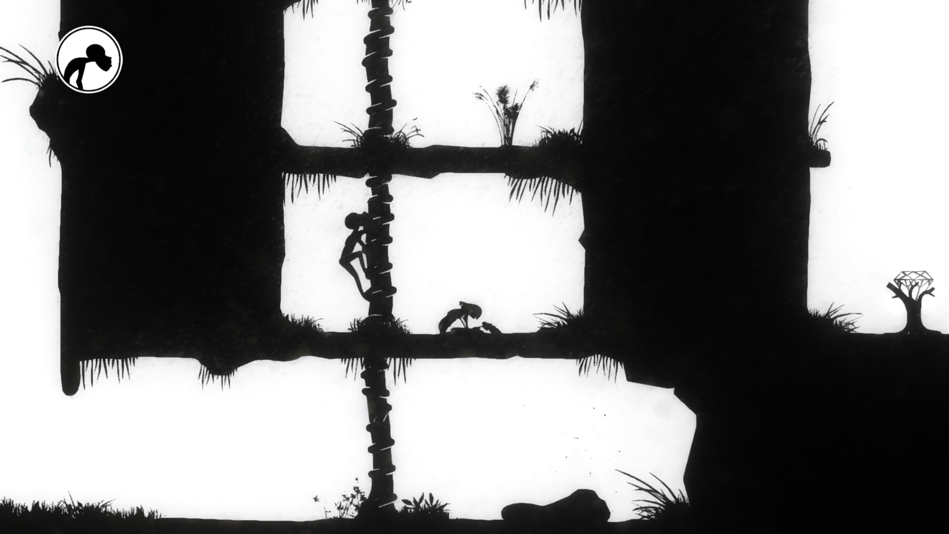 Captura: Liquid Sunshine