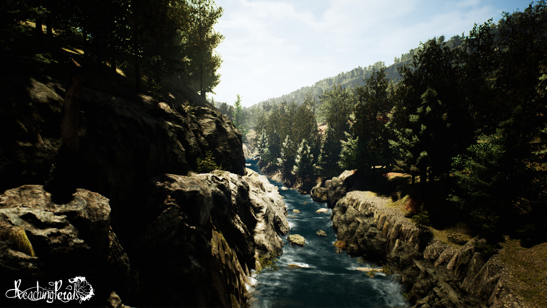 Captura: Reaching for Petals