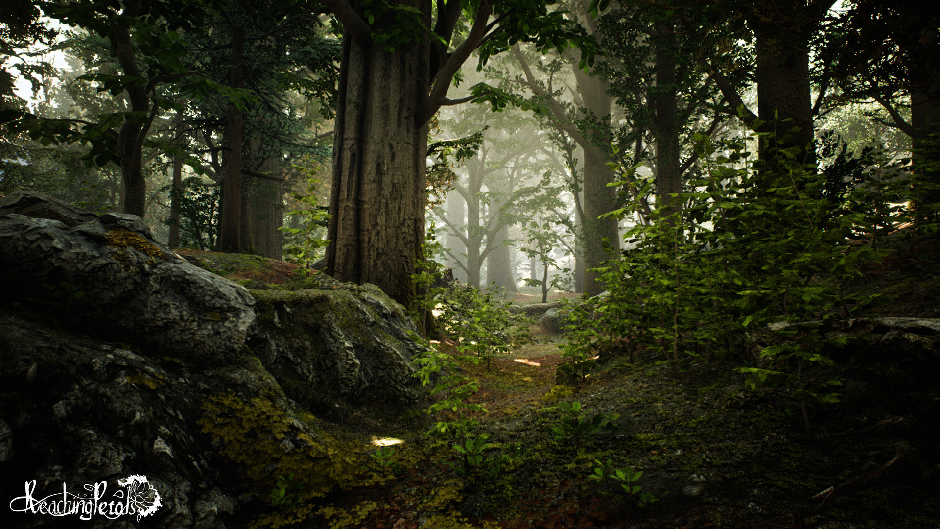 Captura: Reaching for Petals