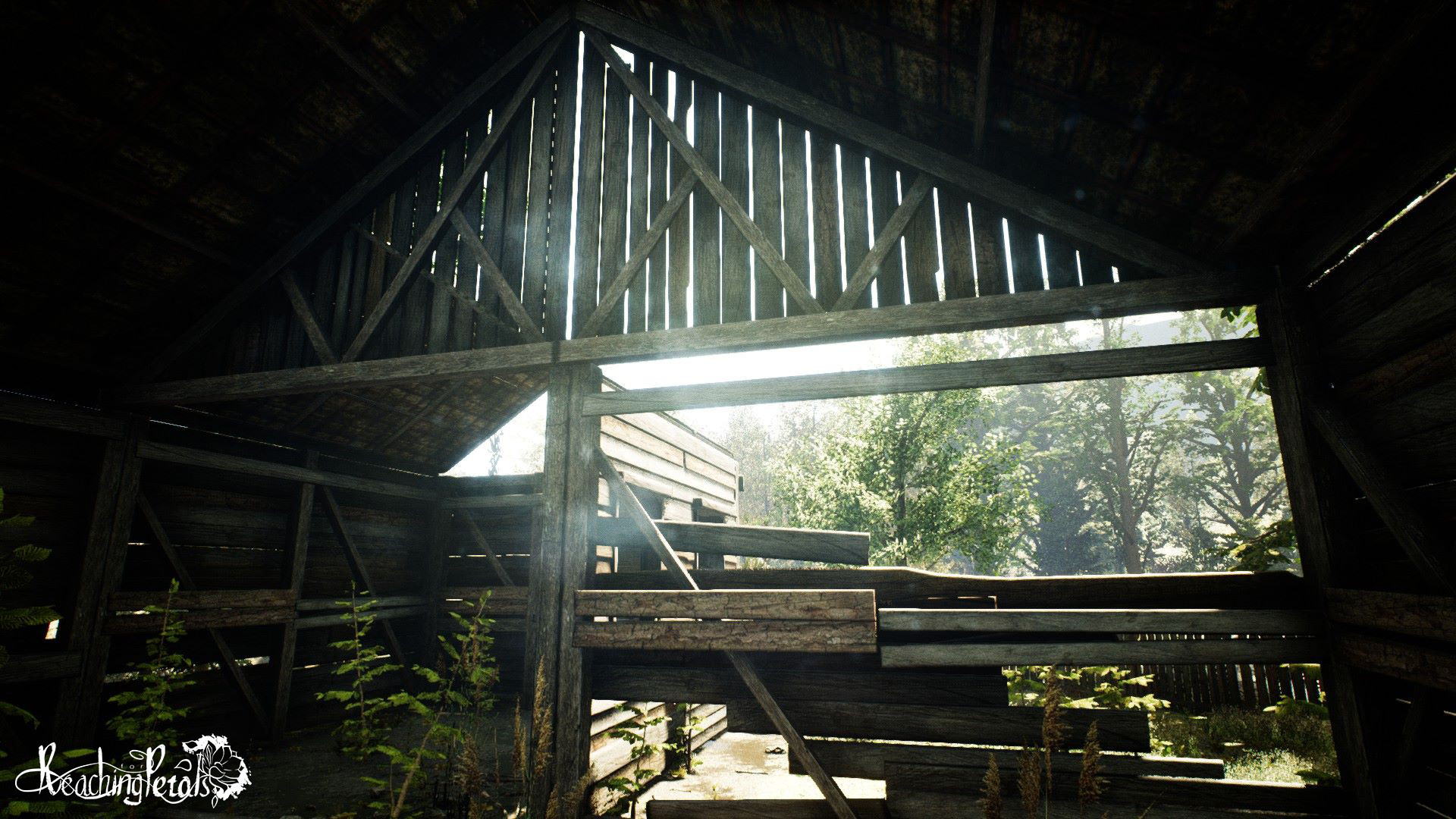 Captura: Reaching for Petals