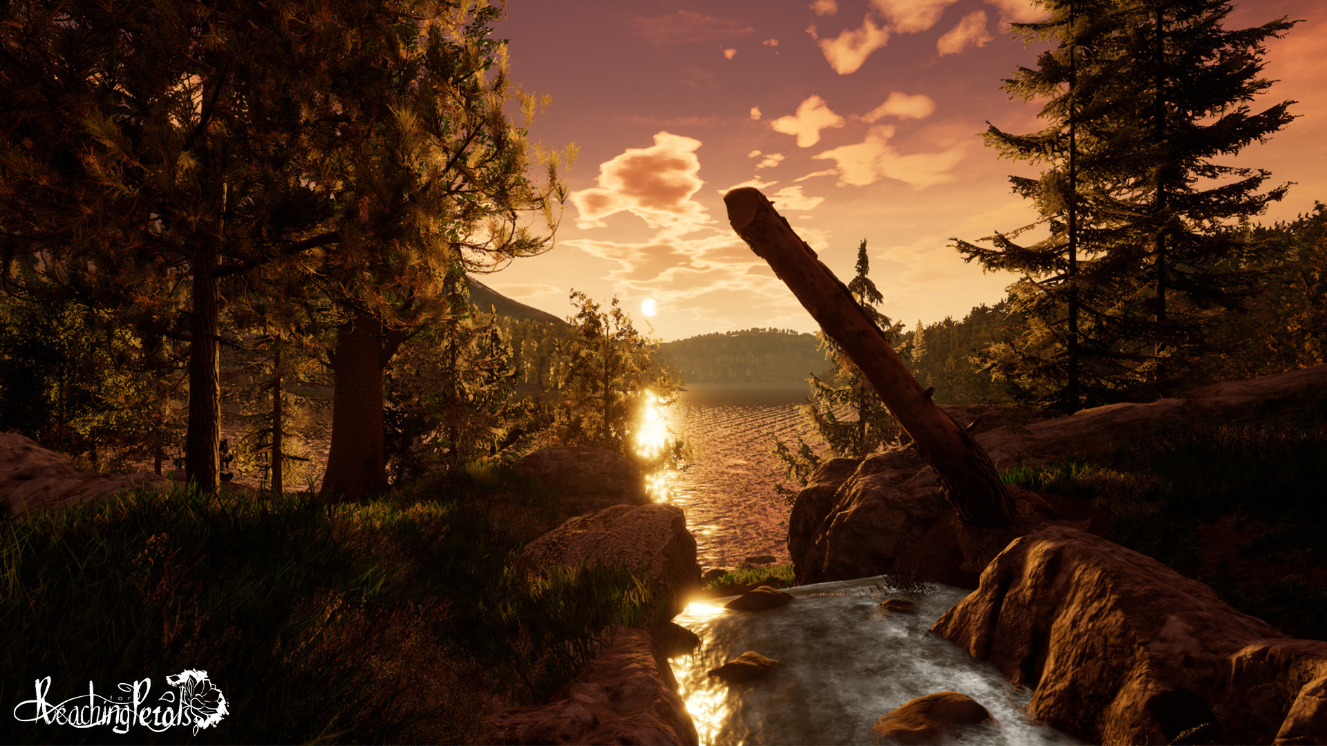 Captura: Reaching for Petals