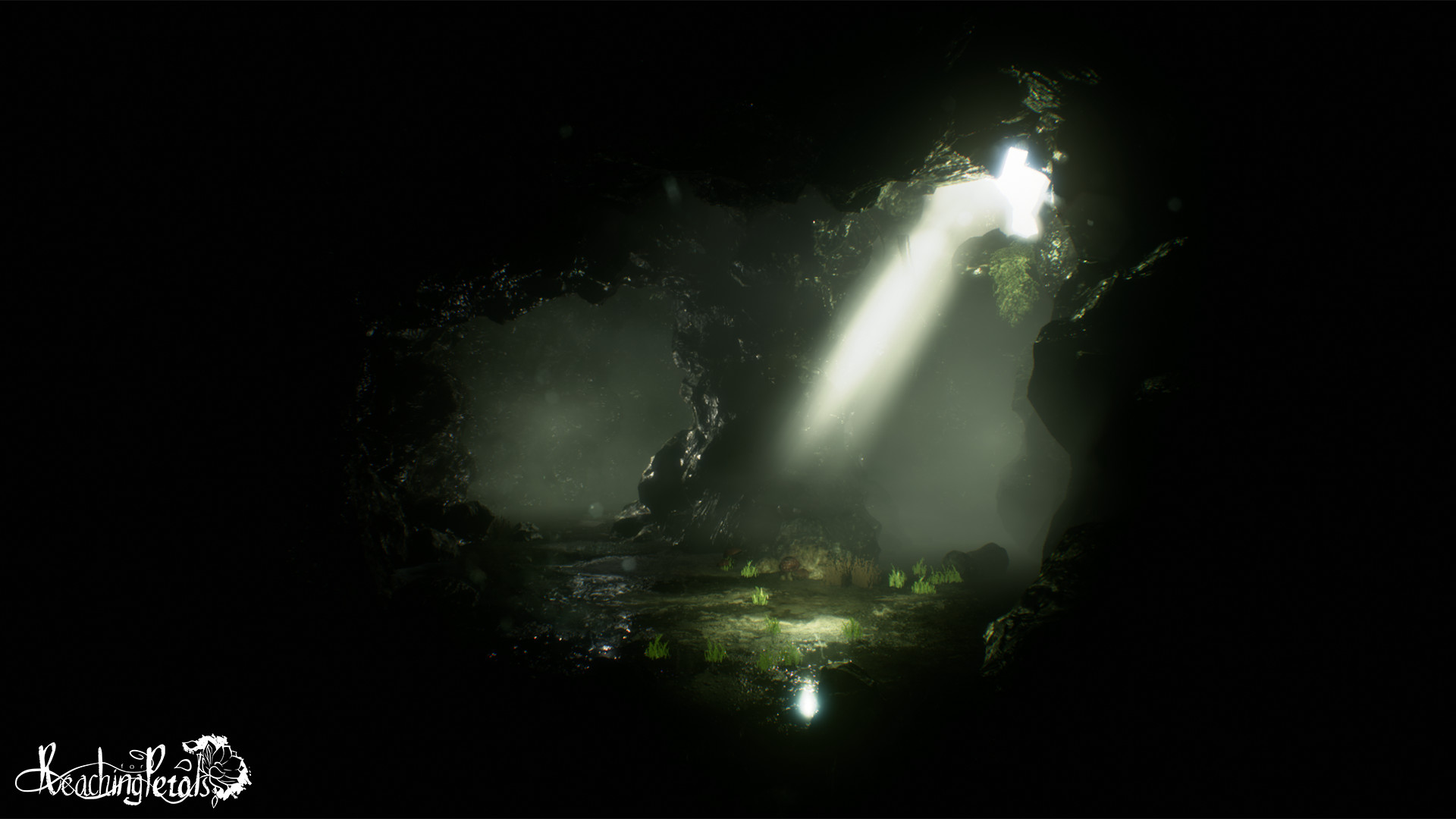 Captura: Reaching for Petals