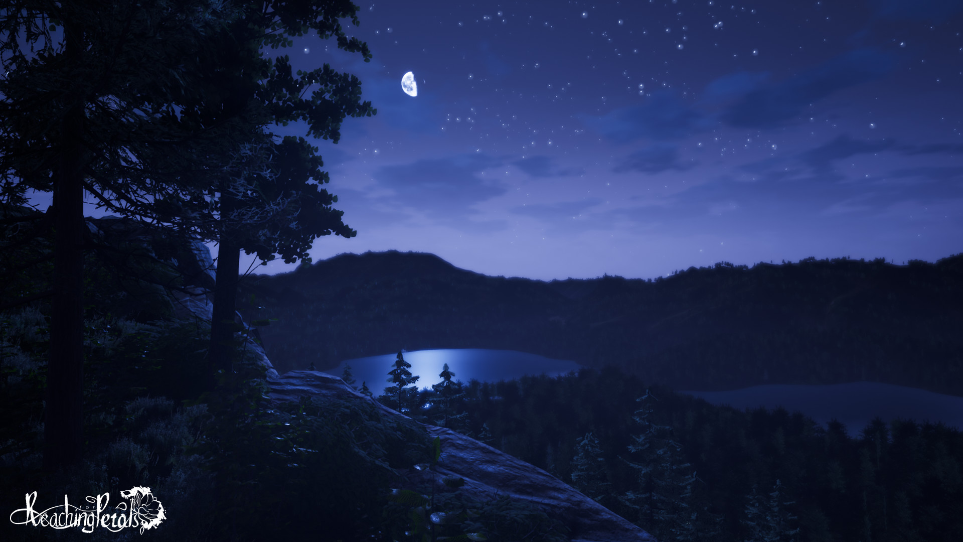 Captura 7: Reaching for Petals