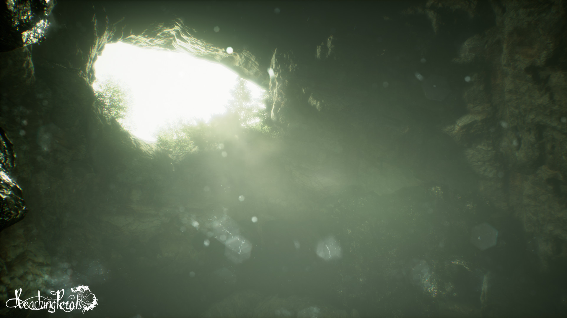 Captura 9: Reaching for Petals