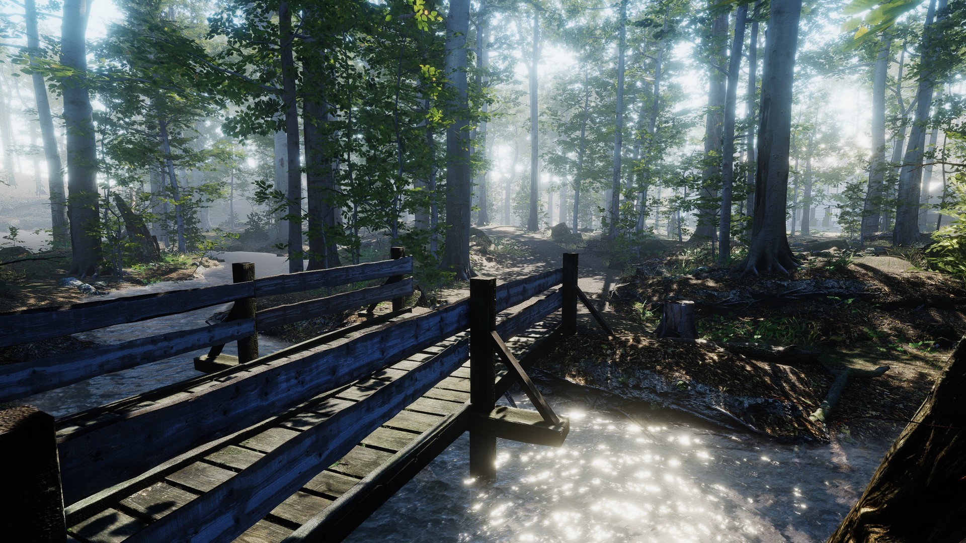 Captura: The House in the Forest