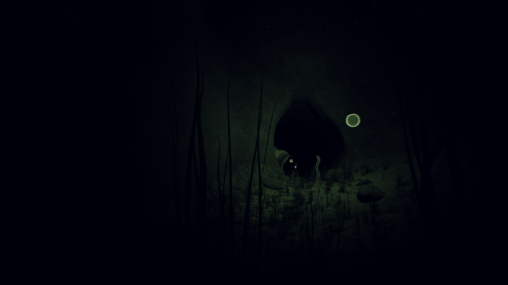 Captura 12: Underponder